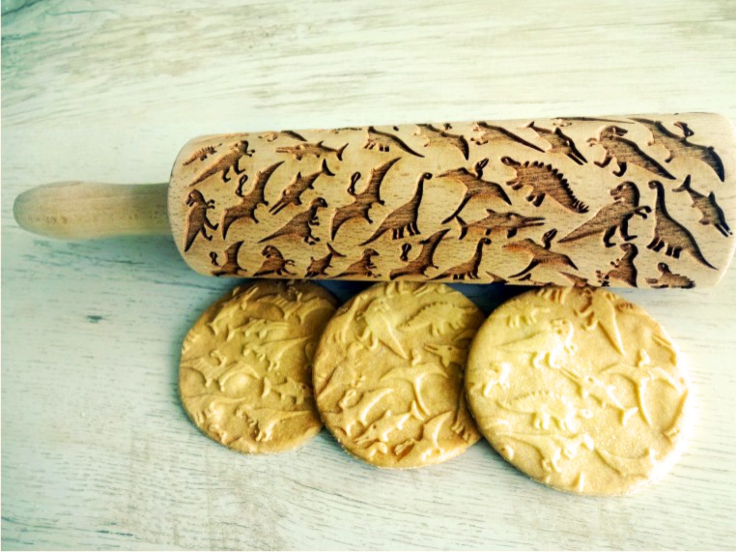 DINOSAURS Embossing Rolling Pin